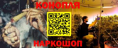 apvp Краснодар